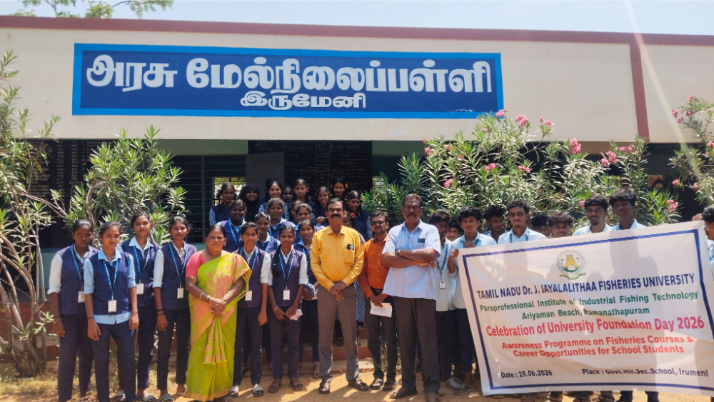 DIVF Newsletter