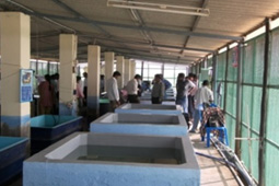 Cement Tank System