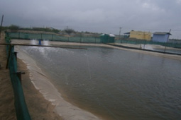 Earthern Lined Ponds