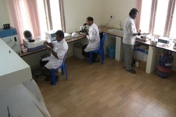 Microbiology Laboratory