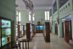 Museum