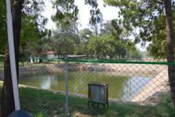 Ponds
