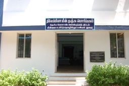 Tilapia Hatchery